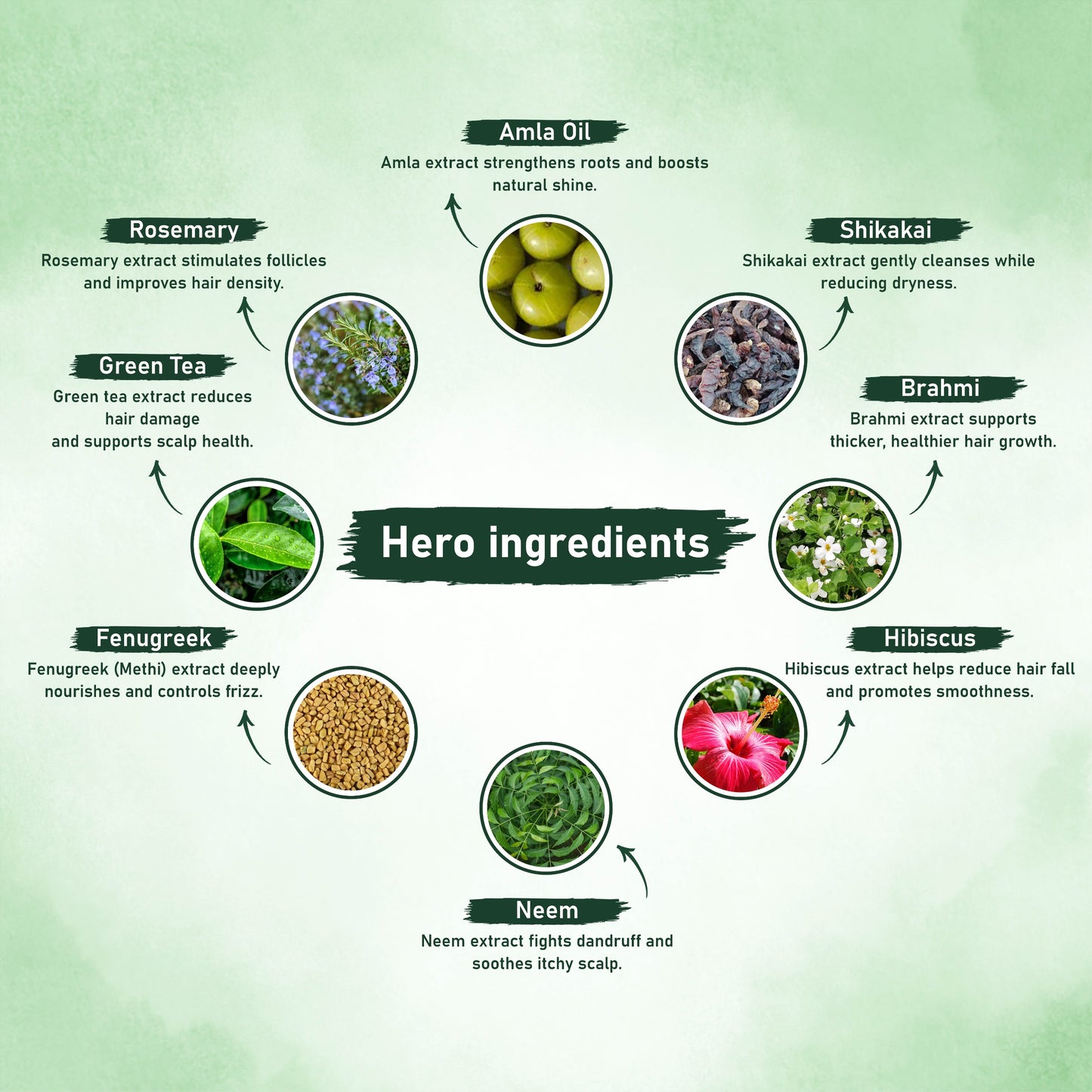 Hair Revival Oil & Shampoo Combo